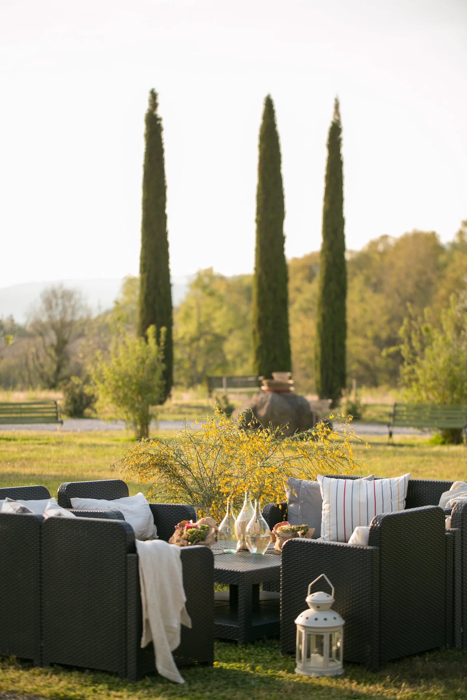 Cypress trees and outdoor lounge